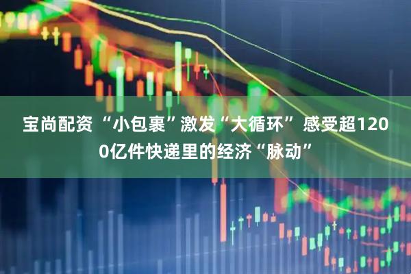 宝尚配资 “小包裹”激发“大循环” 感受超1200亿件快递里的经济“脉动”