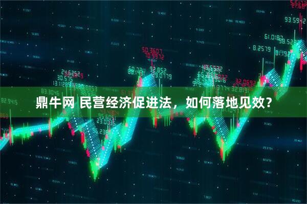 鼎牛网 民营经济促进法，如何落地见效？