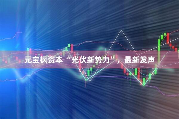 元宝枫资本 “光伏新势力”，最新发声